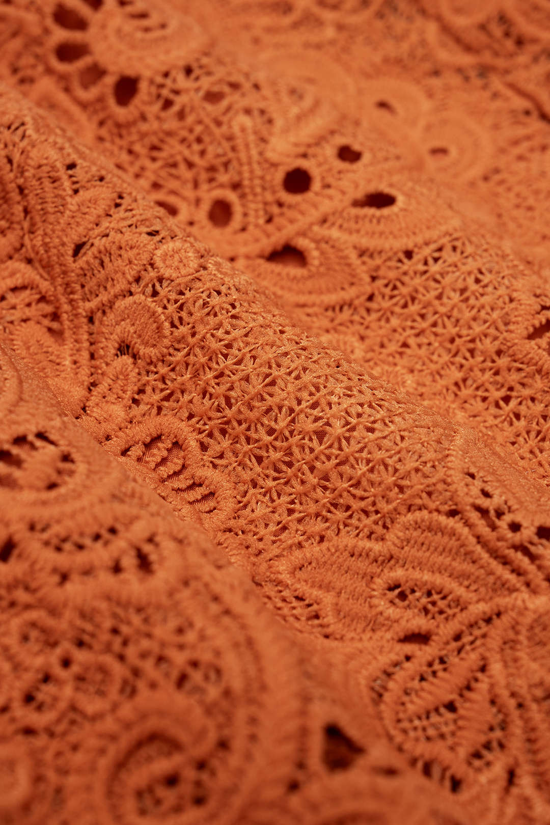 Shorts mit Muschelsaum, Cut-Out und Bindedetail