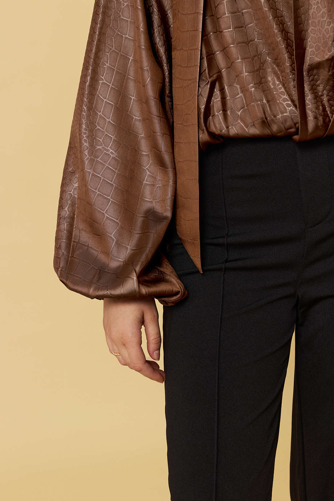 Satin Texture Ruched Long-Sleeve Top With Scarf
