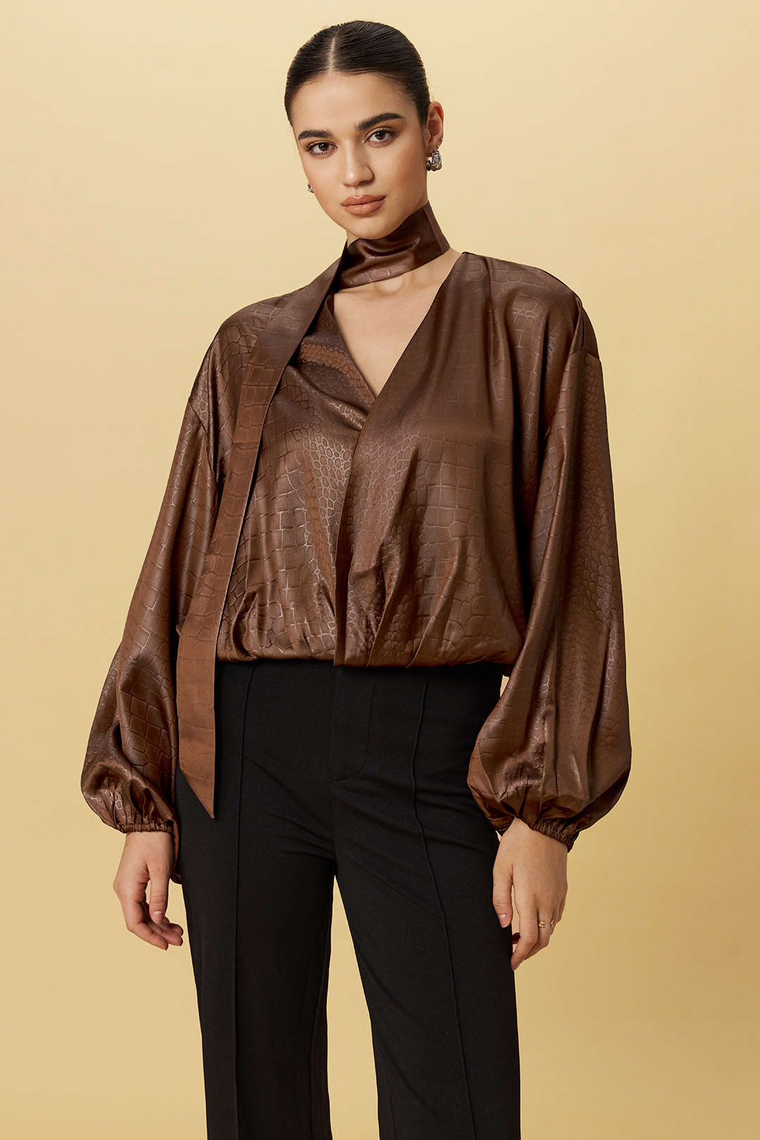 Satin Texture Ruched Long-Sleeve Top With Scarf